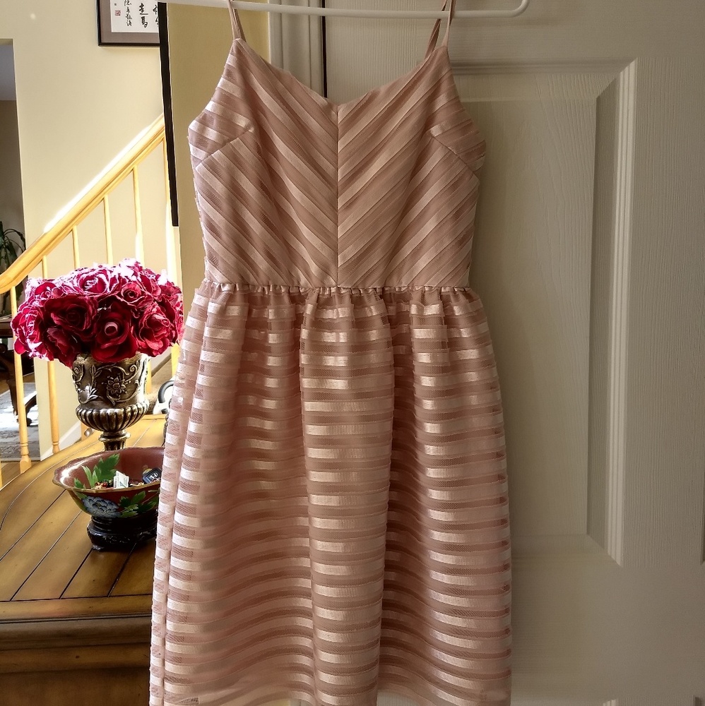 Pink Spaghetti Strap Chiffon Dress